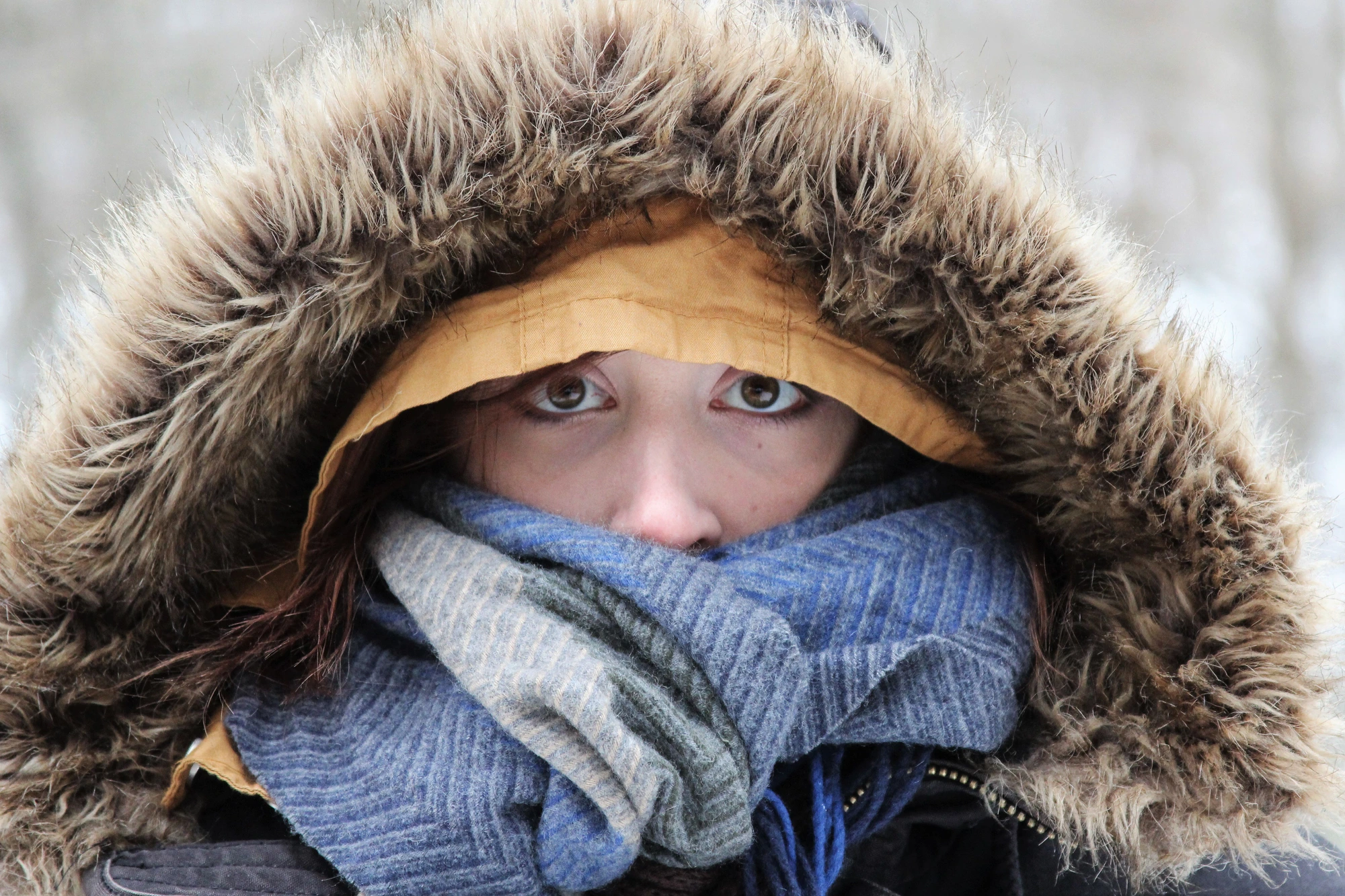 Managing Shorter Daylight in Winter